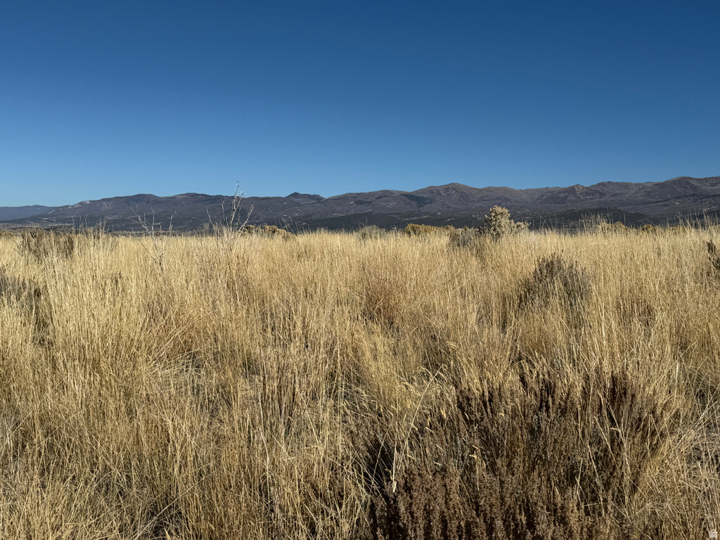 1  PINE CREEK RD Mt Pleasant, UT 84647