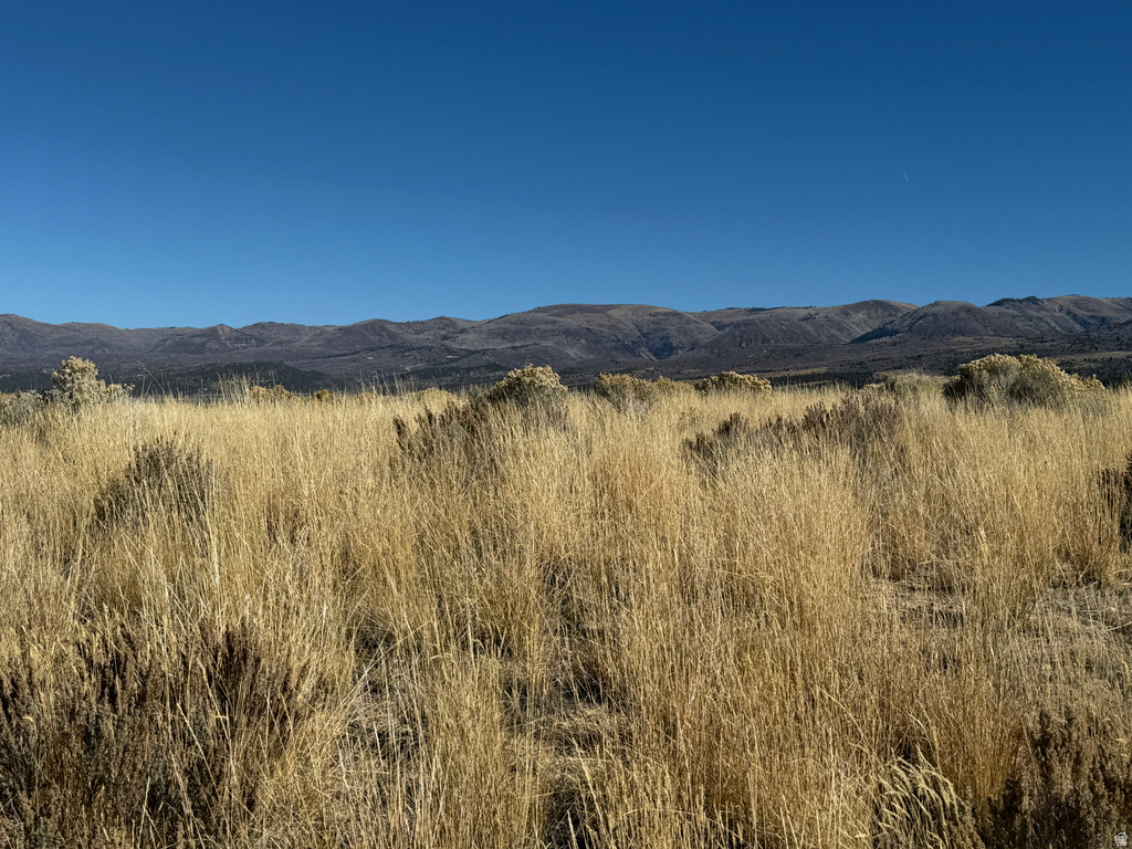 1  PINE CREEK RD Mt Pleasant, UT 84647