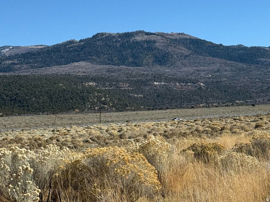 1  PINE CREEK RD Mt Pleasant, UT 84647