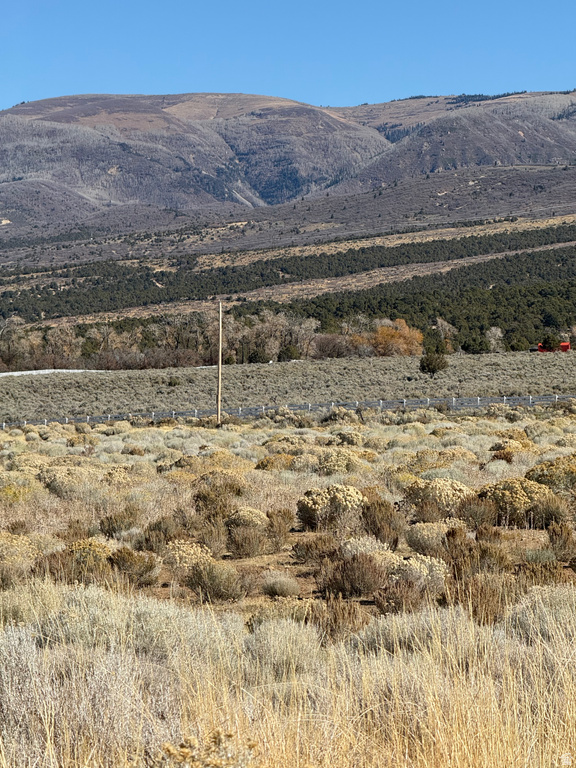 1  PINE CREEK RD Mt Pleasant, UT 84647