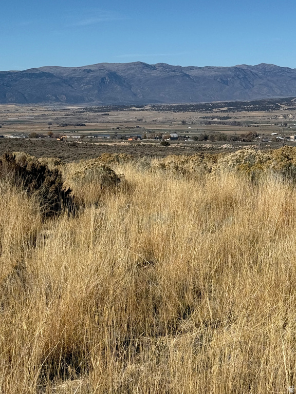 1  PINE CREEK RD Mt Pleasant, UT 84647