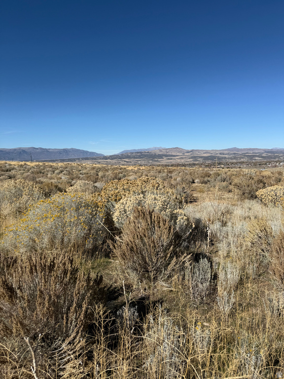 1  PINE CREEK RD Mt Pleasant, UT 84647