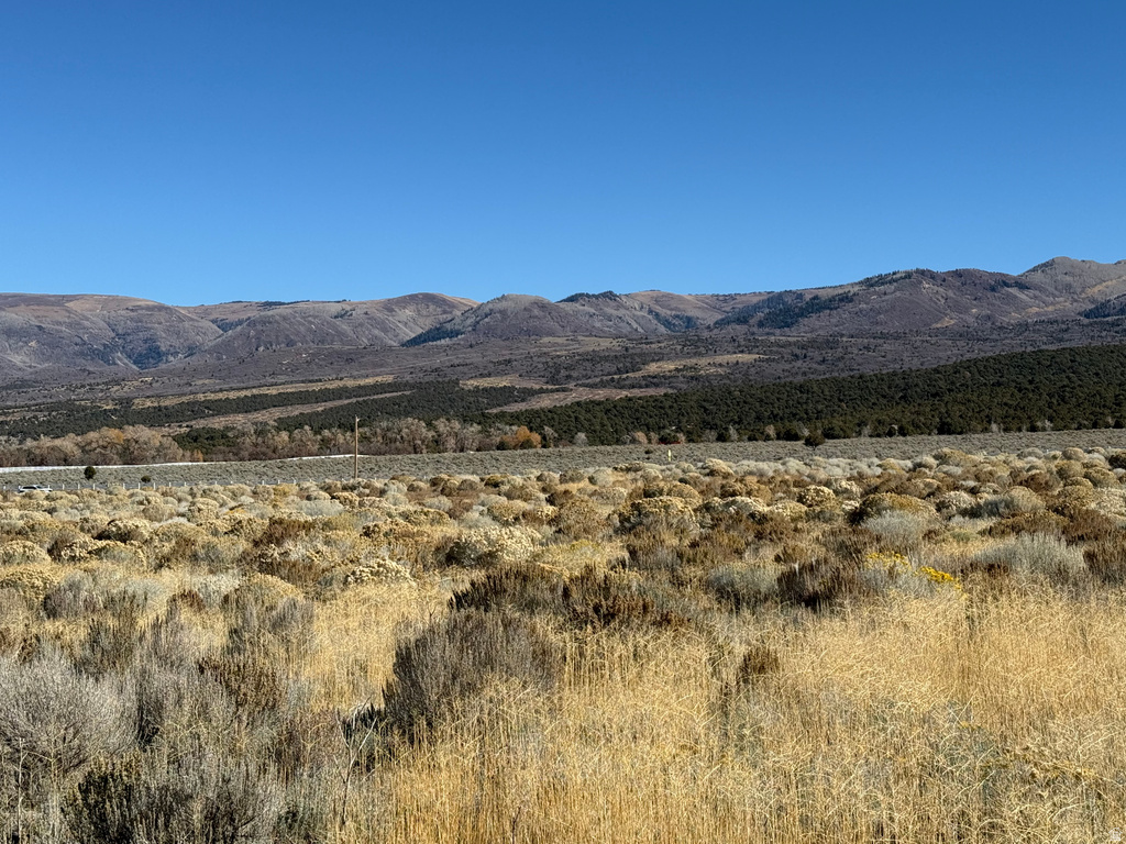 1  PINE CREEK RD Mt Pleasant, UT 84647