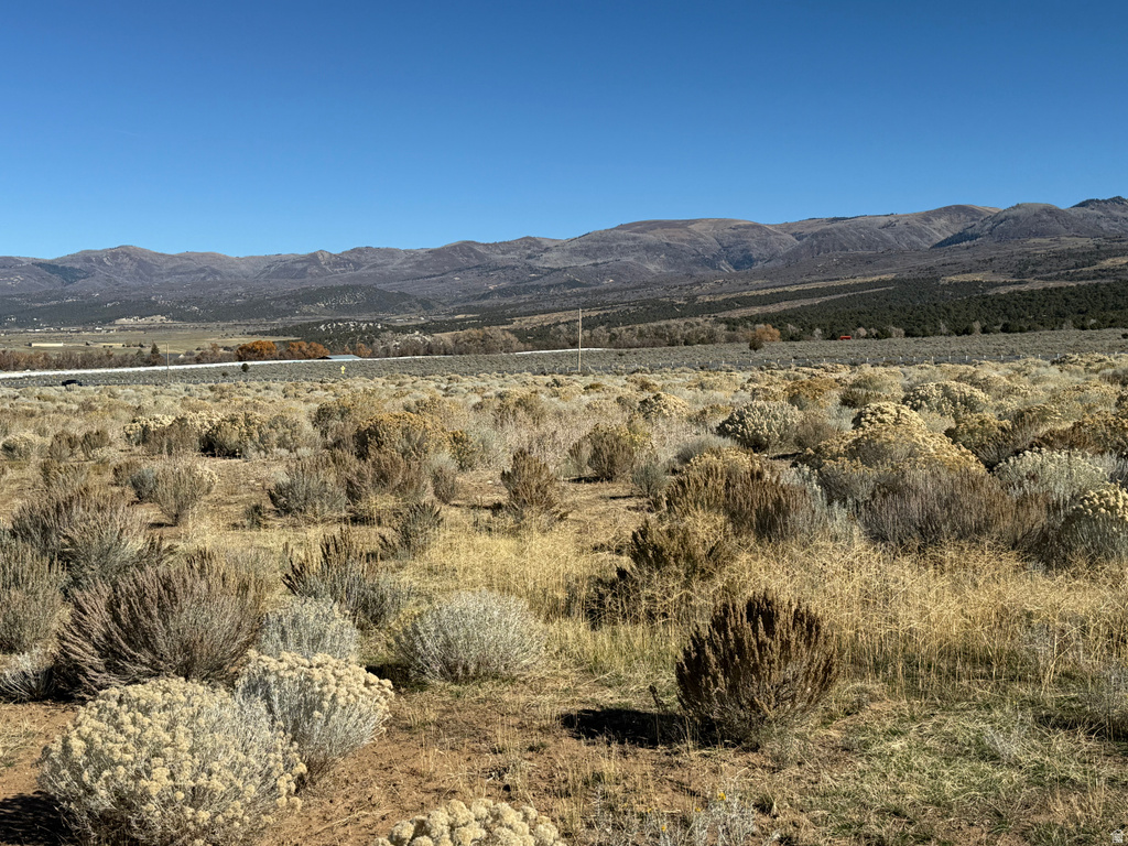 1  PINE CREEK RD Mt Pleasant, UT 84647