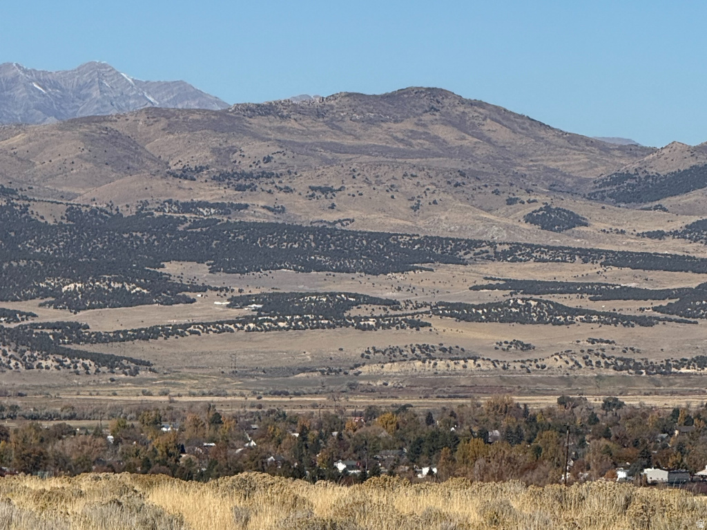 1  PINE CREEK RD Mt Pleasant, UT 84647