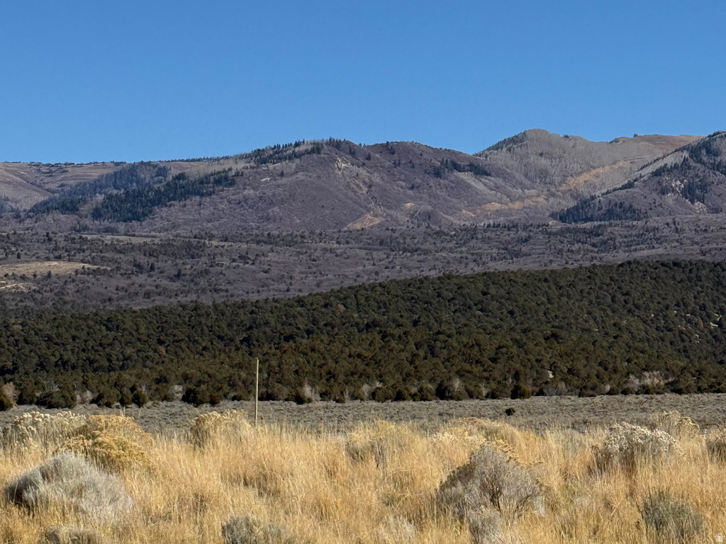 1  PINE CREEK RD Mt Pleasant, UT 84647