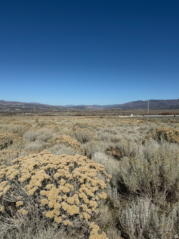 1  PINE CREEK RD Mt Pleasant, UT 84647