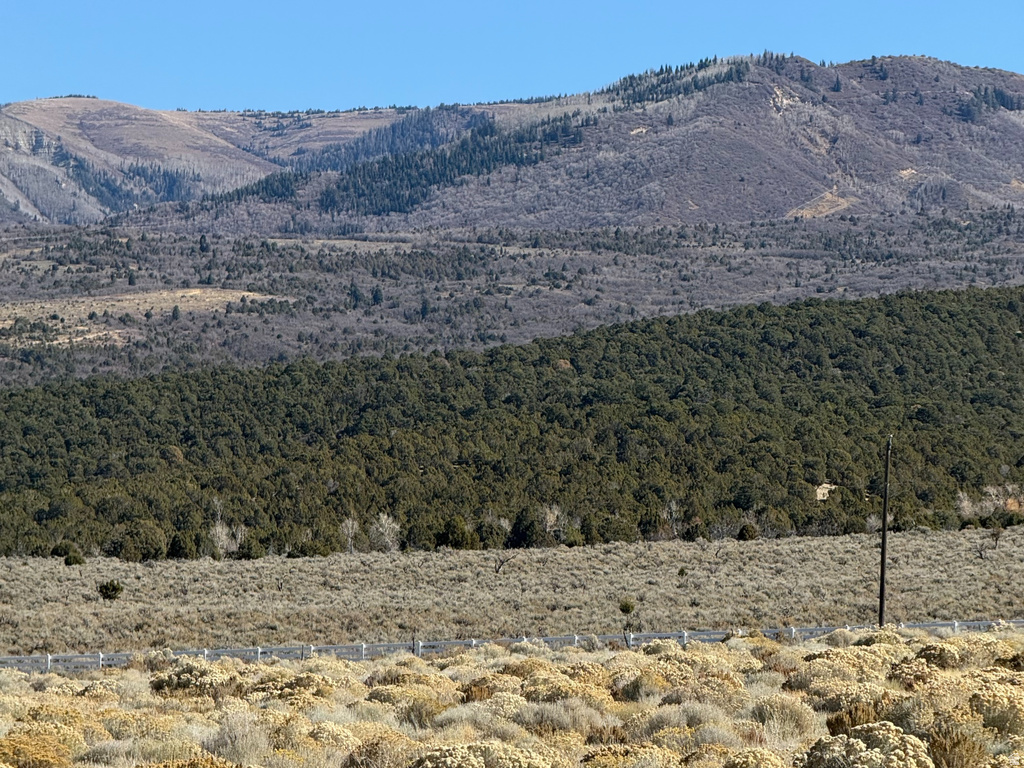 1  PINE CREEK RD Mt Pleasant, UT 84647