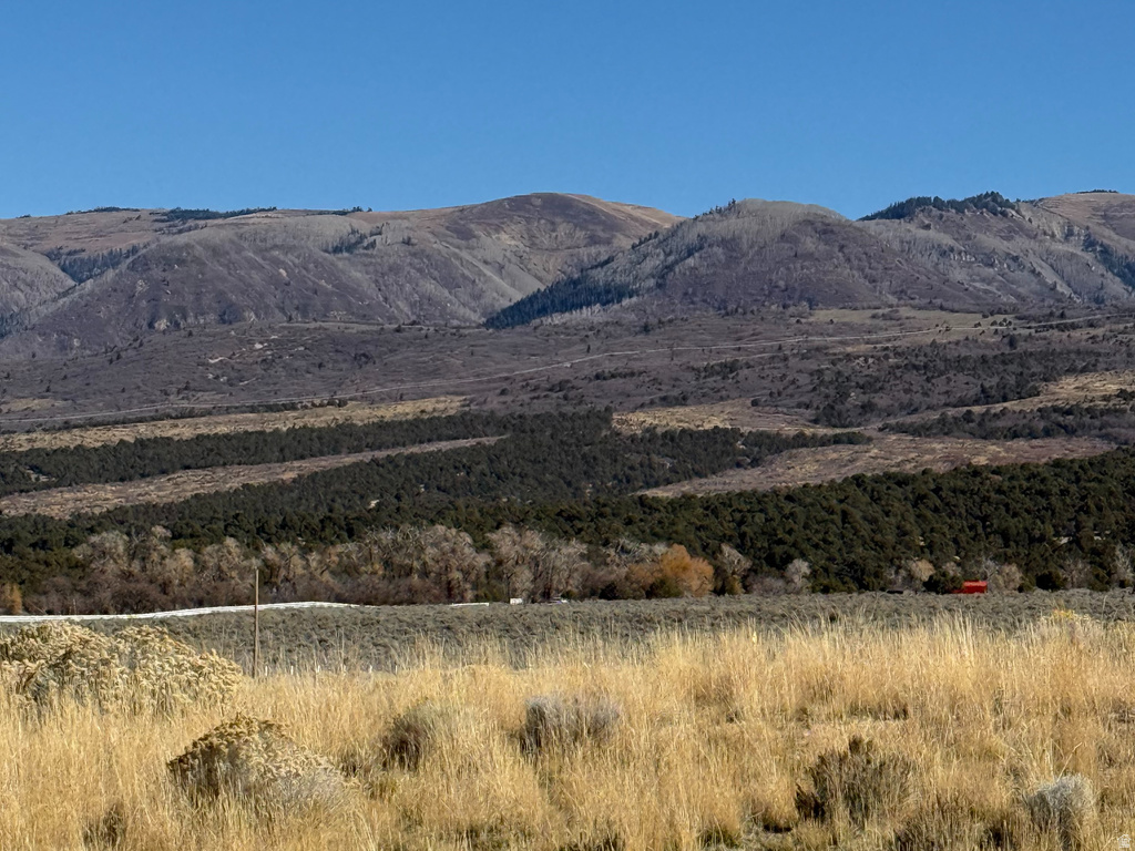 1  PINE CREEK RD Mt Pleasant, UT 84647