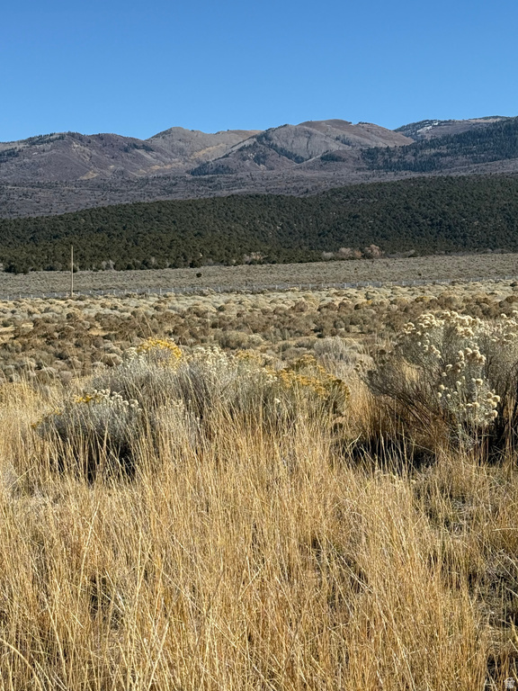 1  PINE CREEK RD Mt Pleasant, UT 84647