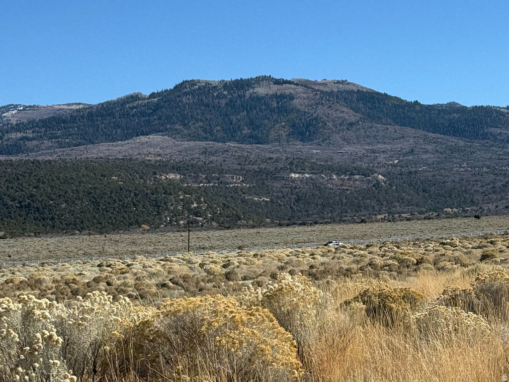 1  PINE CREEK RD Mt Pleasant, UT 84647