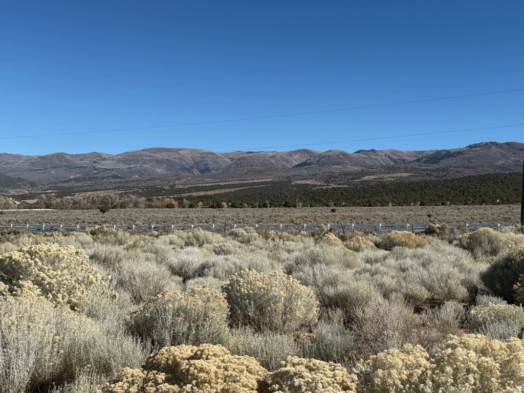 1  PINE CREEK RD Mt Pleasant, UT 84647