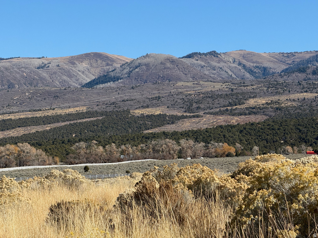 1  PINE CREEK RD Mt Pleasant, UT 84647