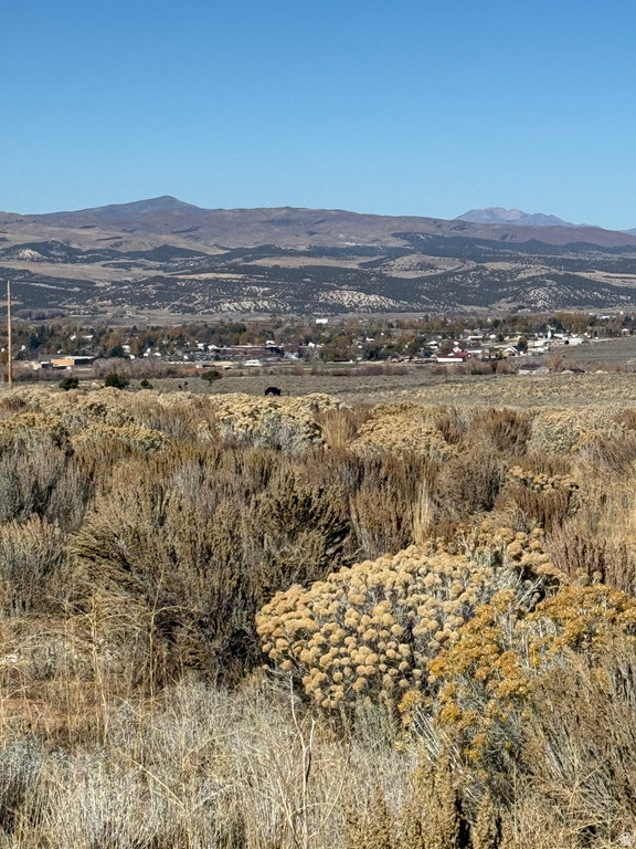 1  PINE CREEK RD Mt Pleasant, UT 84647