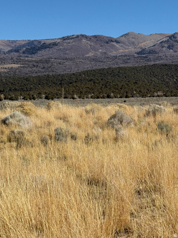 1  PINE CREEK RD Mt Pleasant, UT 84647