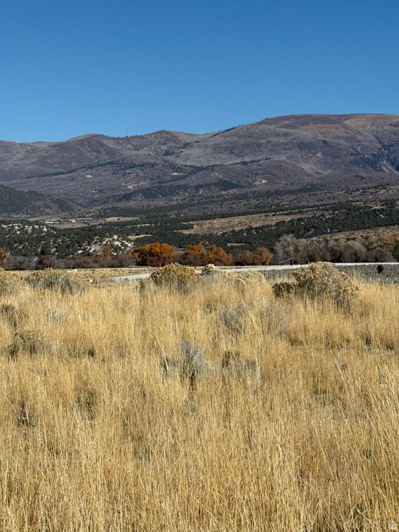 1  PINE CREEK RD Mt Pleasant, UT 84647