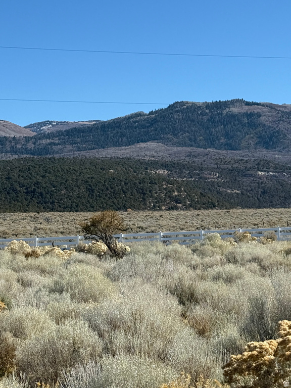 1  PINE CREEK RD Mt Pleasant, UT 84647