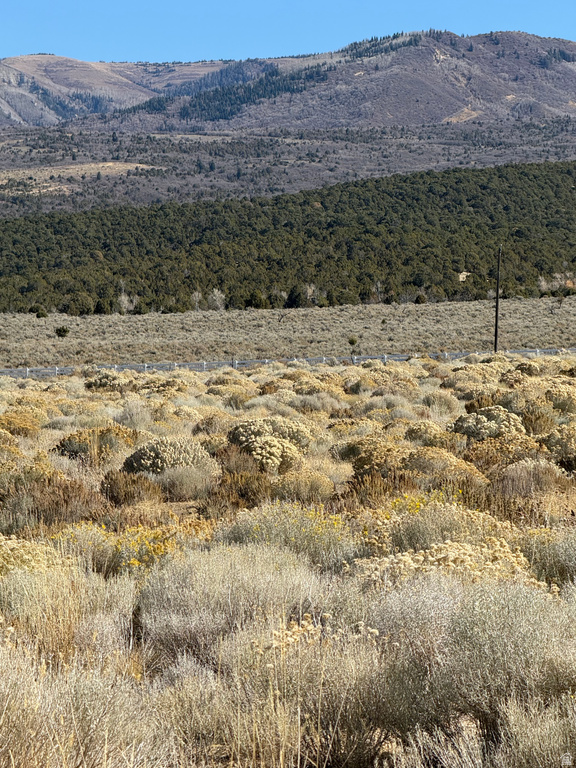 1  PINE CREEK RD Mt Pleasant, UT 84647