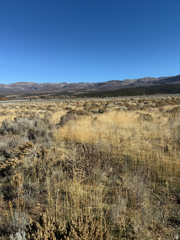 1  PINE CREEK RD Mt Pleasant, UT 84647