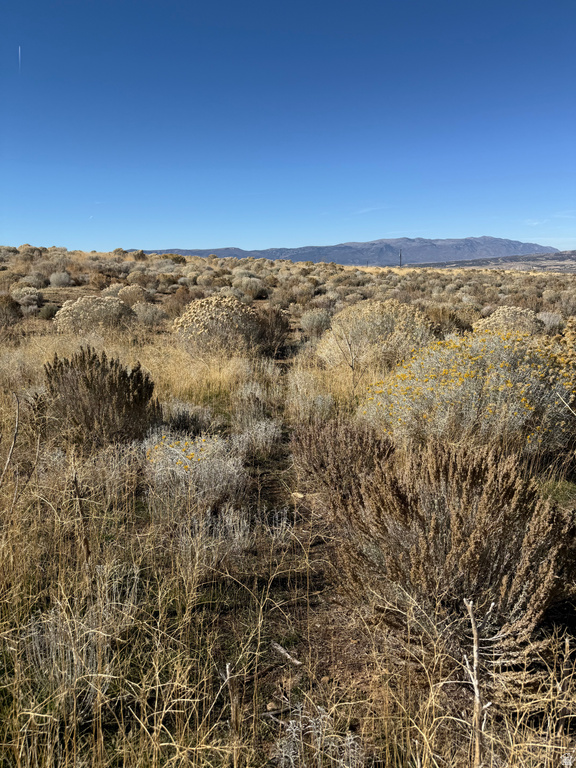 1  PINE CREEK RD Mt Pleasant, UT 84647