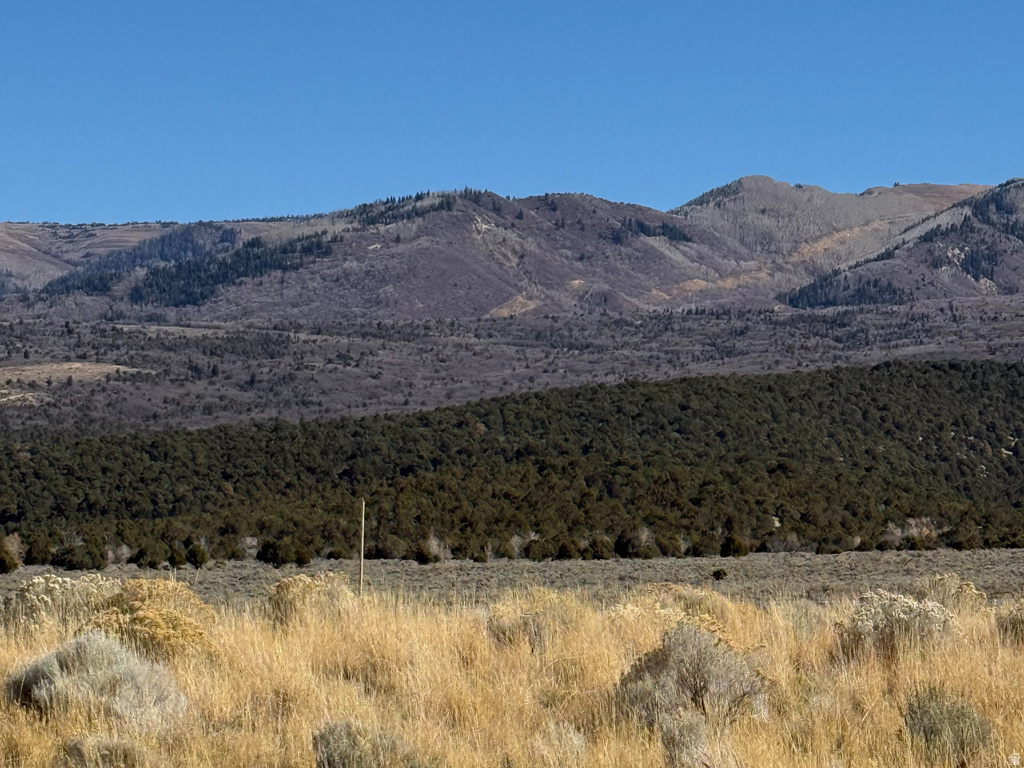 1  PINE CREEK RD Mt Pleasant, UT 84647