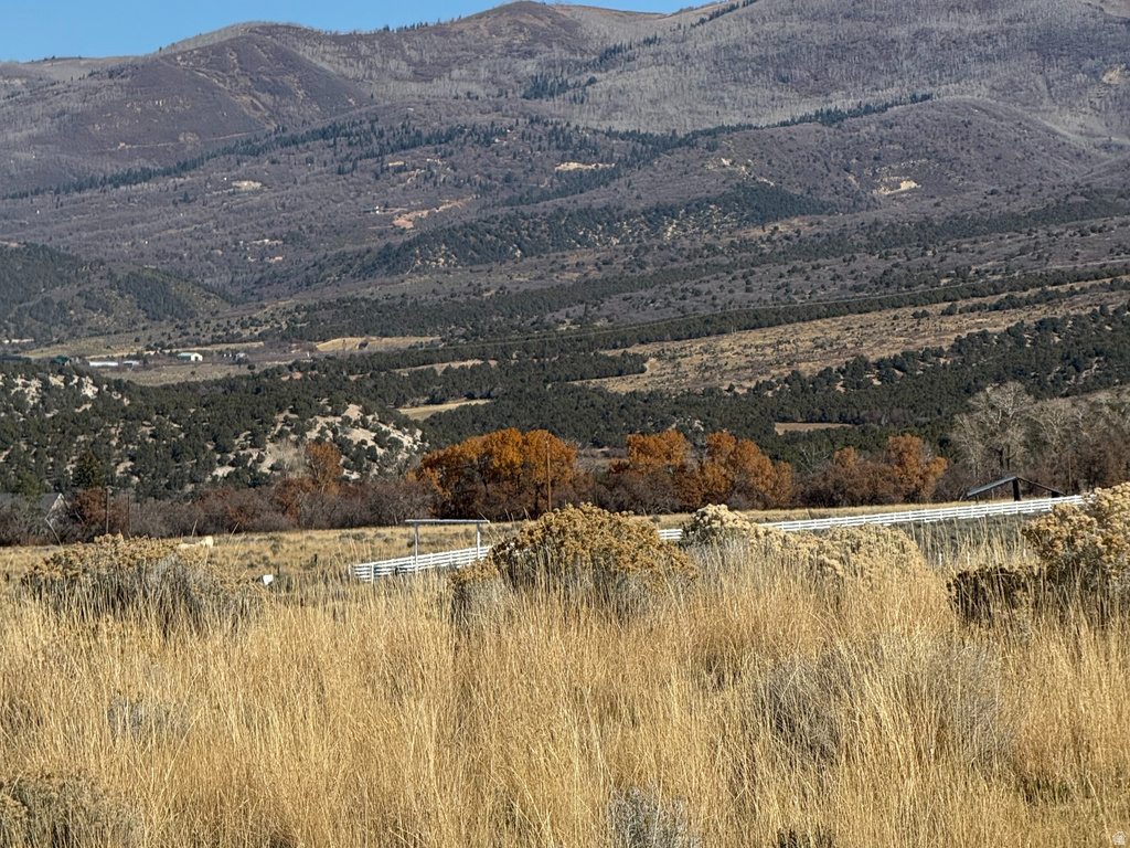 1  PINE CREEK RD Mt Pleasant, UT 84647