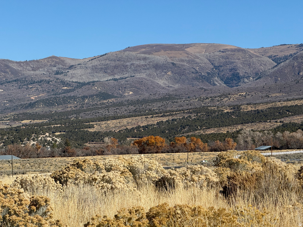 1  PINE CREEK RD Mt Pleasant, UT 84647