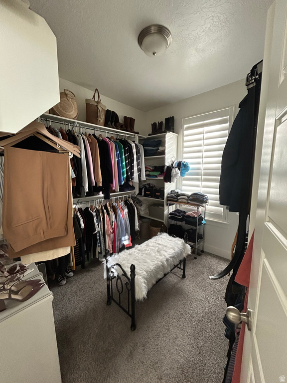 1171 N 1430 W Pleasant Grove, UT 84062