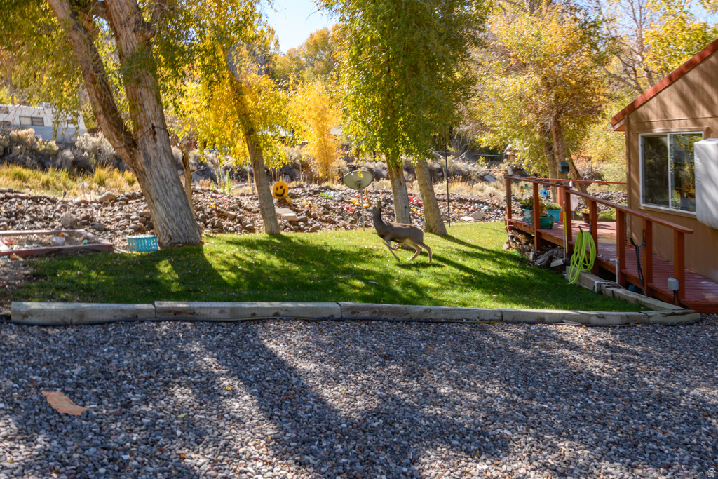 50 N 1690 E Beaver, UT 84713