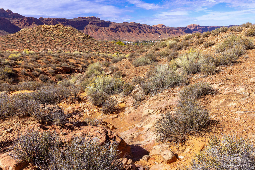 1479 S KAYENTA DR Moab, UT 84532