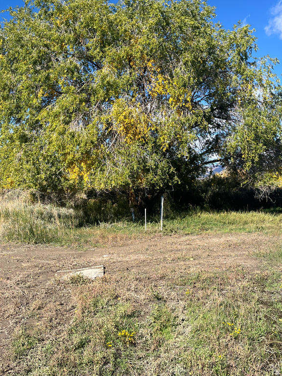  Carbonville, UT 84501