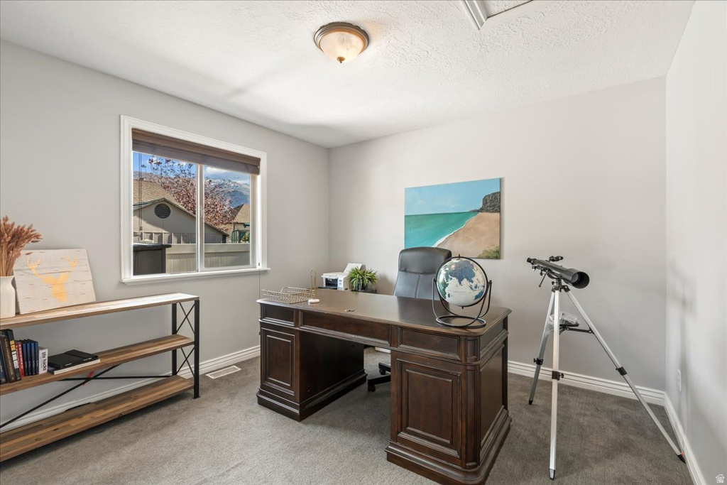 Office with light carpet and a textured ceiling