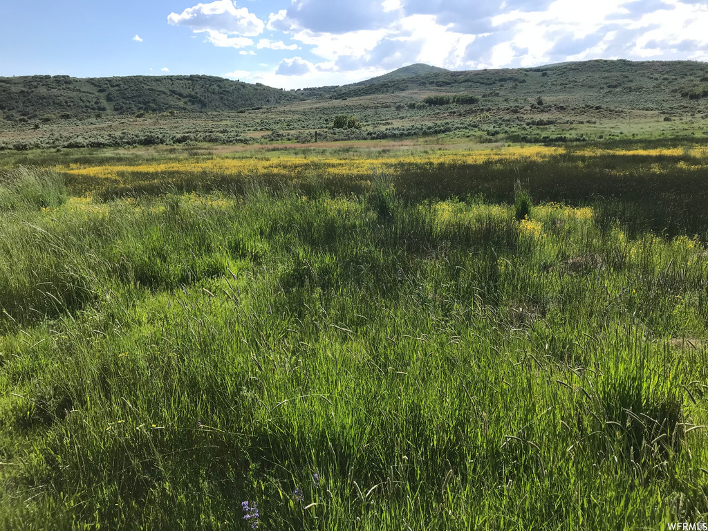 60  CORRAL RD Kamas, UT 84036