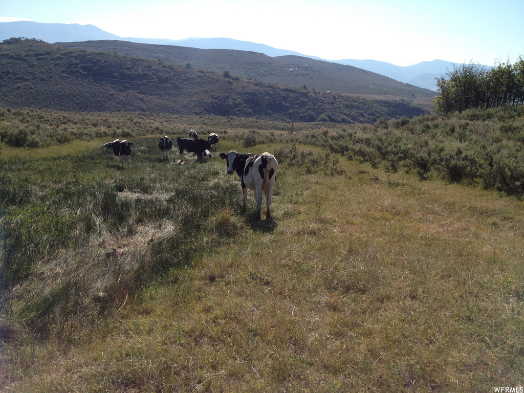 60  CORRAL RD Kamas, UT 84036