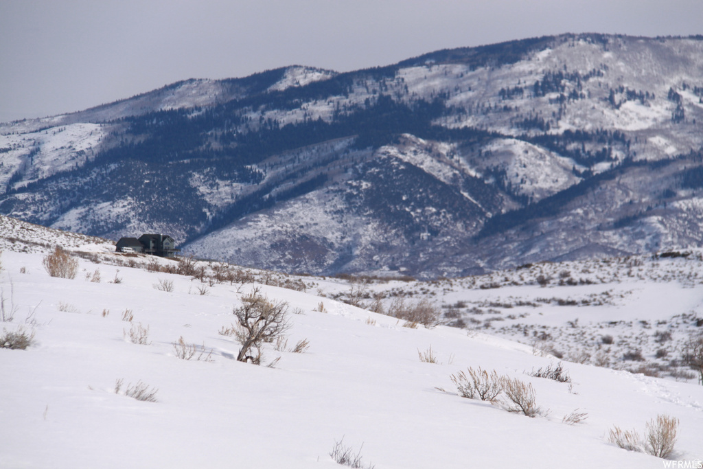 60  CORRAL RD Kamas, UT 84036