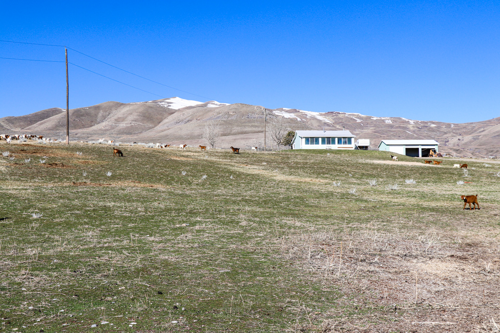 2430 N EAST PROMONTORY RD Promontory, UT 84307