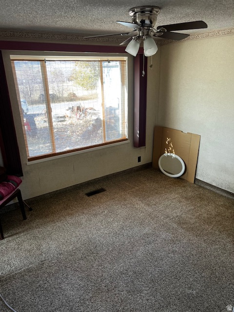 576 N 200 W Fairview, UT 84629