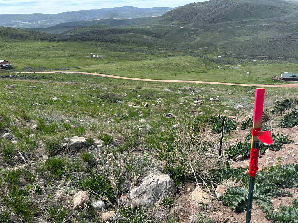 262  SAGE Wanship, UT 84017