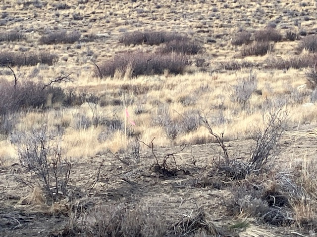 45  KENT CANYON RD Wanship, UT 84017