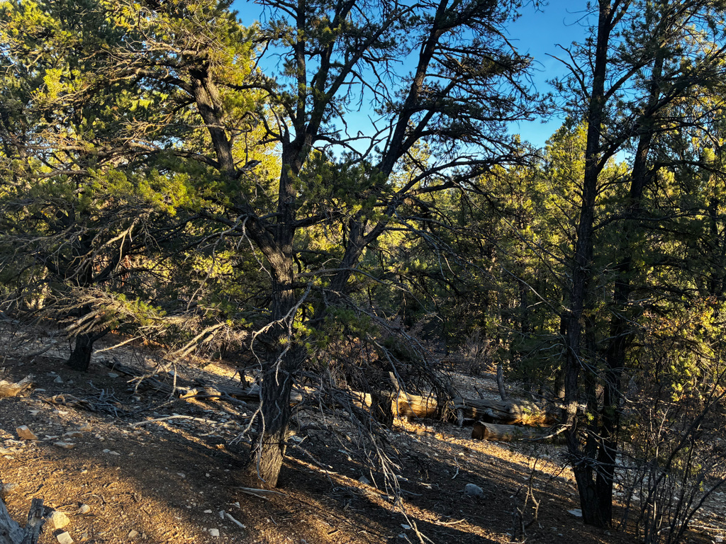 9  LOT 9 BLOCK D ST Orderville, UT 84758