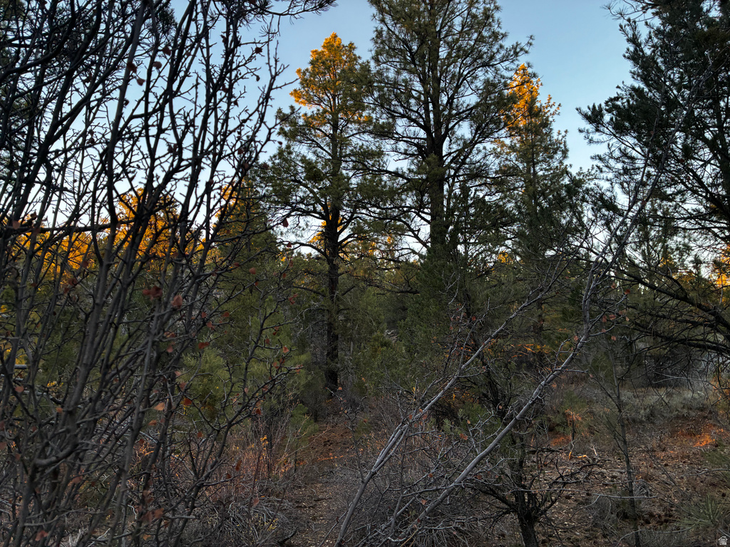 9  LOT 9 BLOCK D ST Orderville, UT 84758