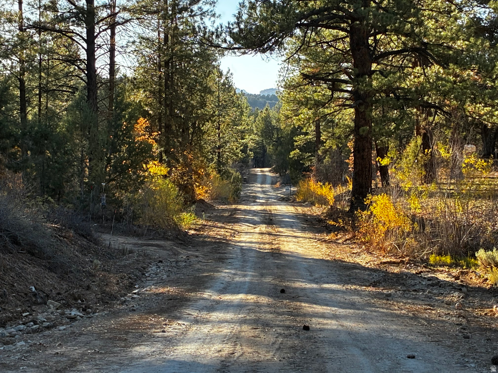 9  LOT 9 BLOCK D ST Orderville, UT 84758