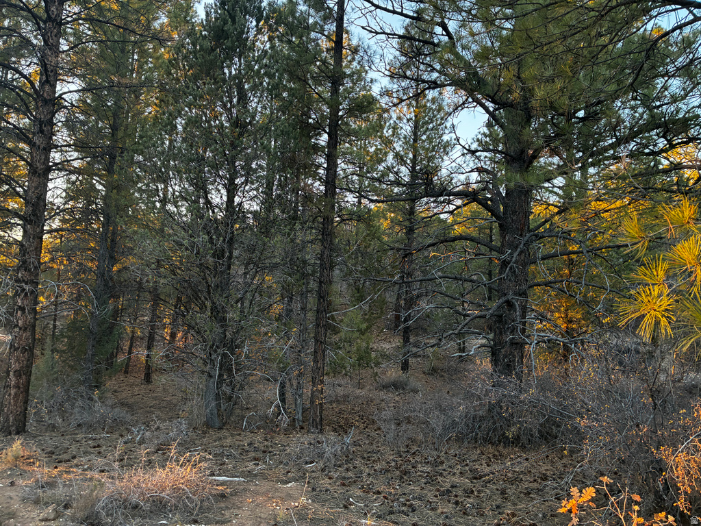 9  LOT 9 BLOCK D ST Orderville, UT 84758