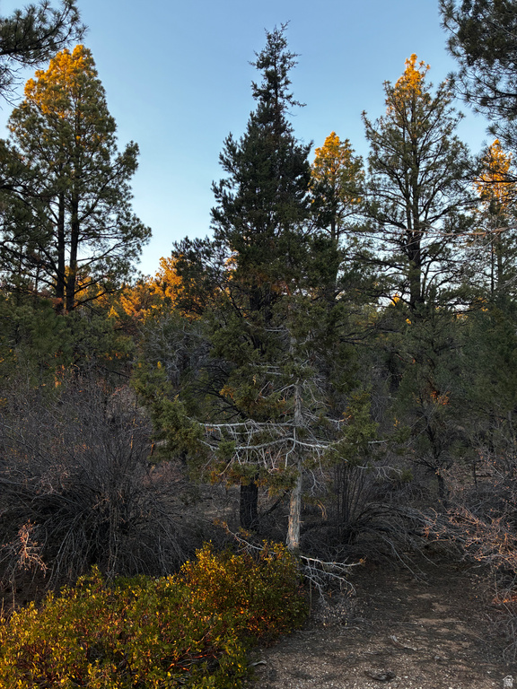 9  LOT 9 BLOCK D ST Orderville, UT 84758