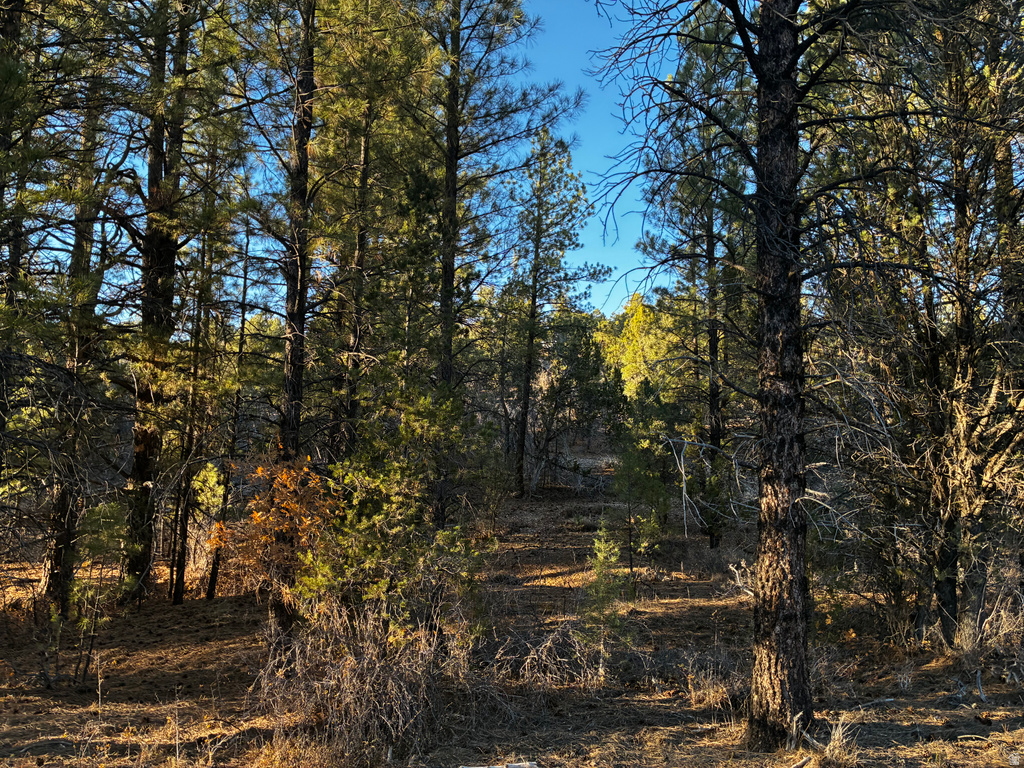 9  LOT 9 BLOCK D ST Orderville, UT 84758