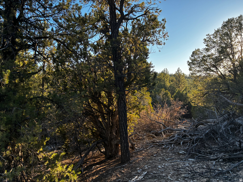 9  LOT 9 BLOCK D ST Orderville, UT 84758