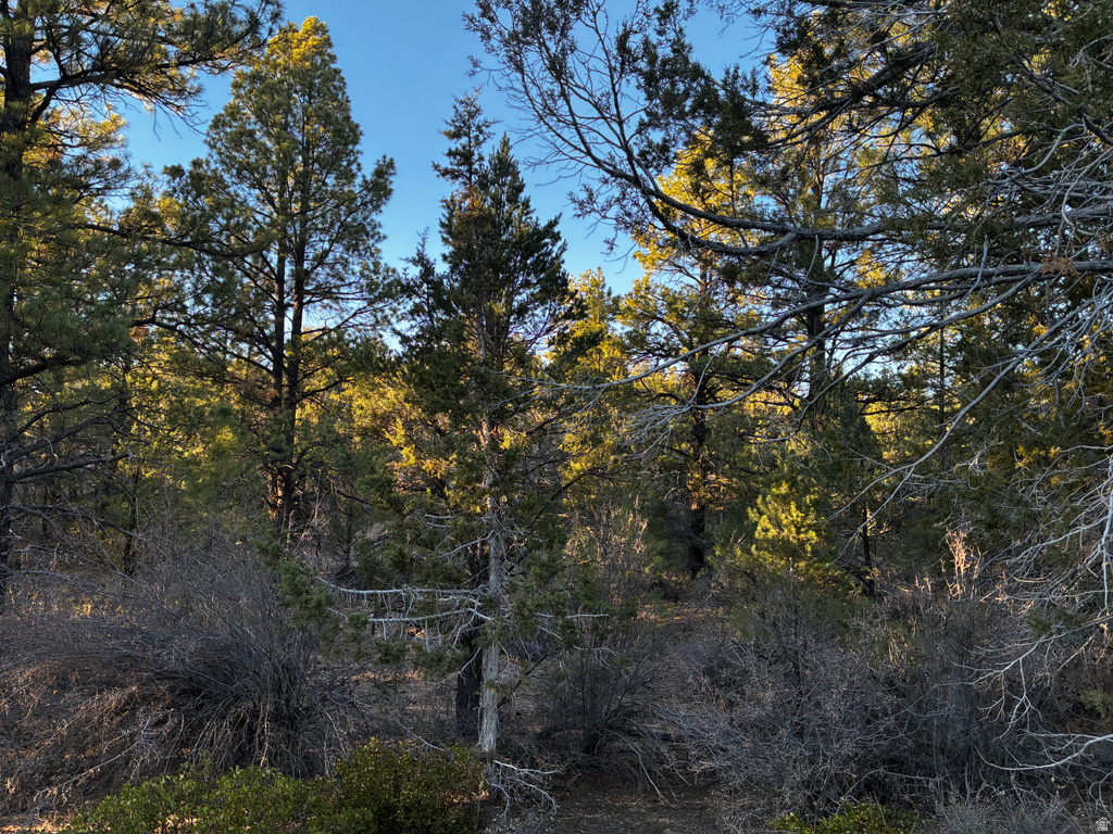 9  LOT 9 BLOCK D ST Orderville, UT 84758