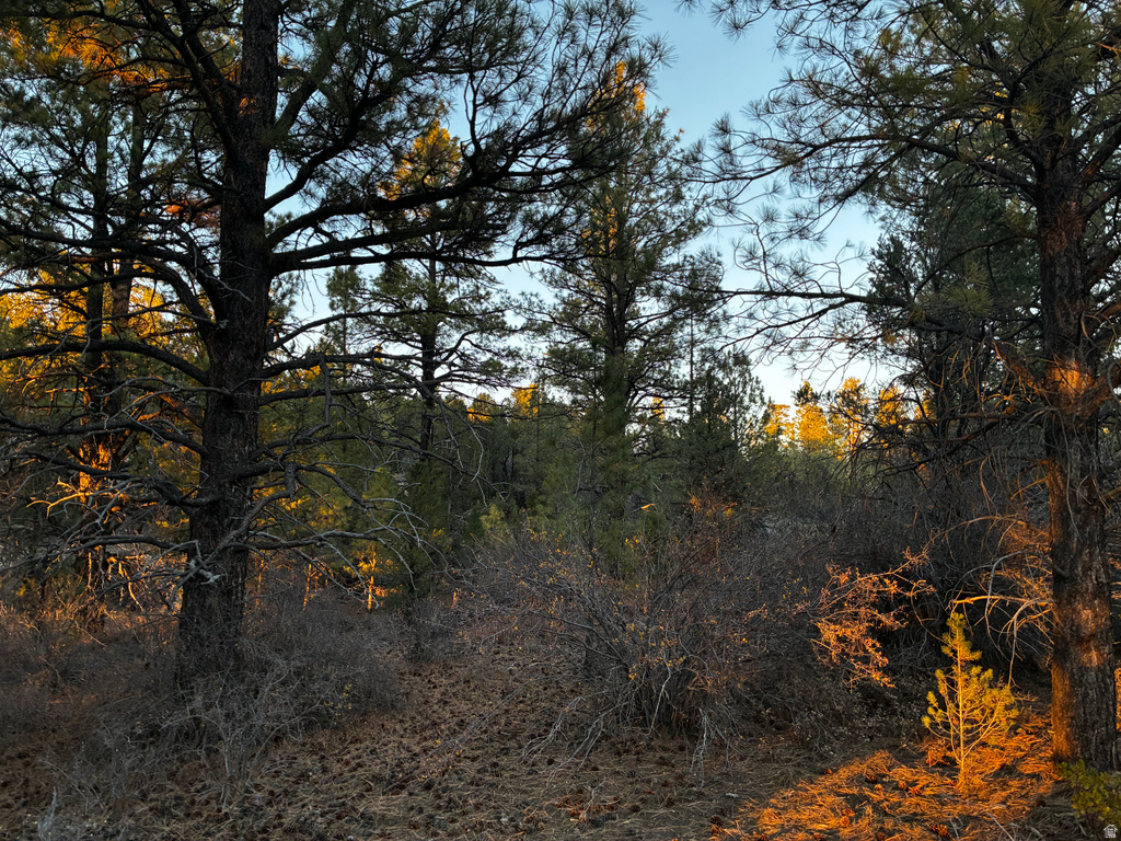 9  LOT 9 BLOCK D ST Orderville, UT 84758