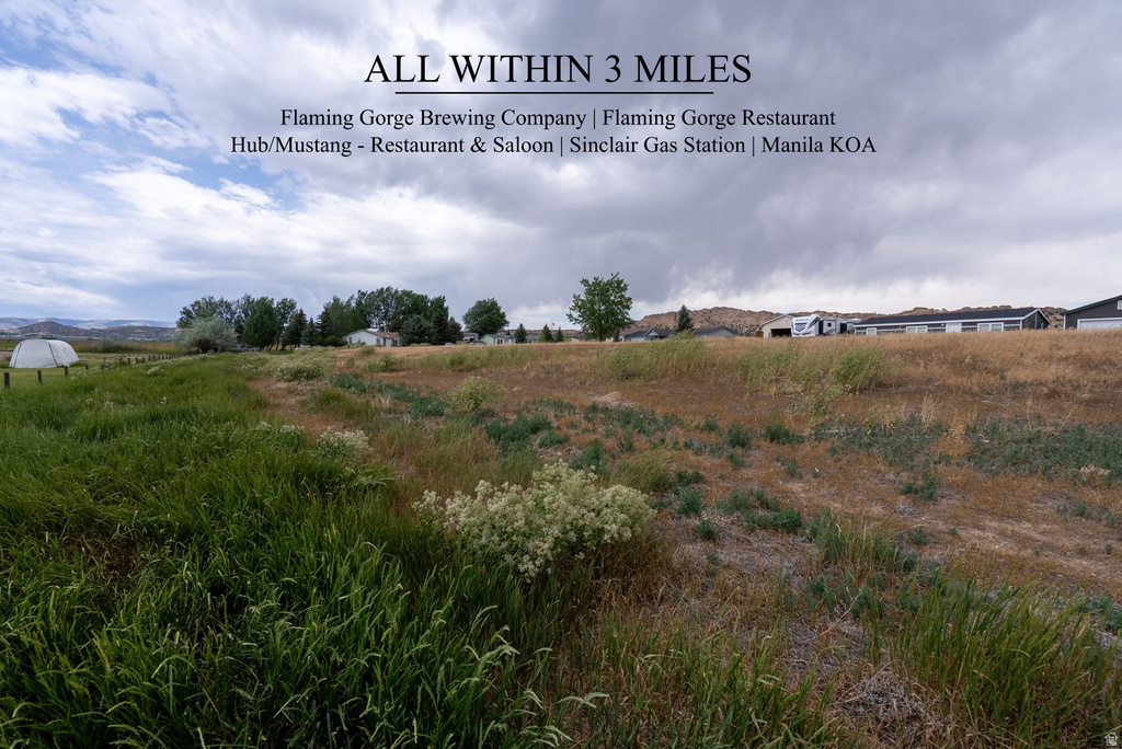 1448 E DICKISON LN Manila, UT 84046