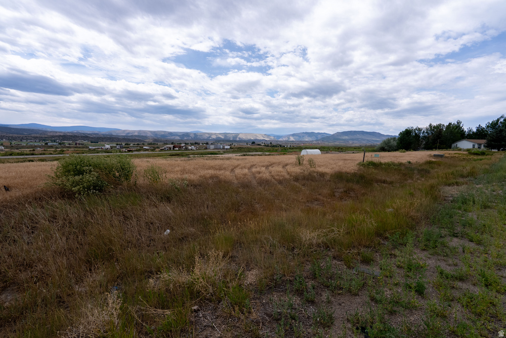 1430 E DICKISON LN Manila, UT 84046